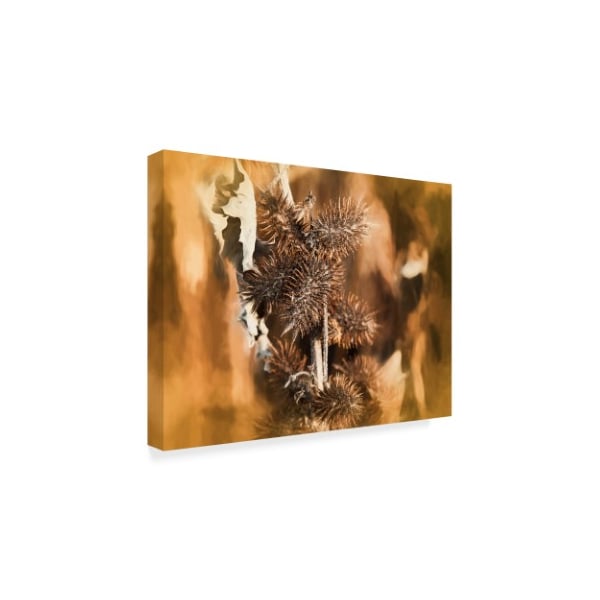 Anthony Paladino 'Brown Thistle An Leaf Soft Yellow Pastel' Canvas Art,14x19